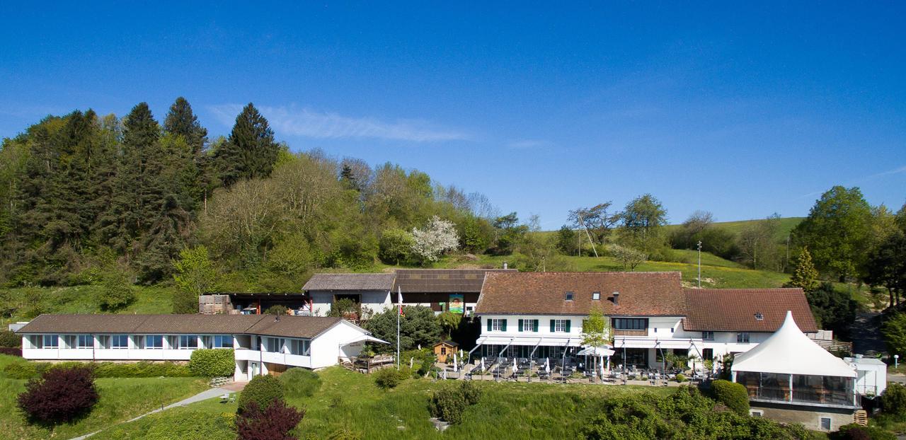 Le Mont-vully - Restaurant Haut-Vully